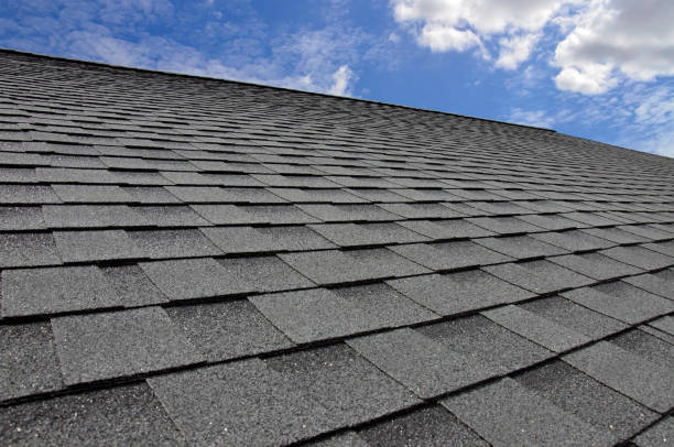 Best Roof Moss and Algae Removal  in Grill, PA